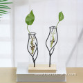 Creative hydroponic plants Plant vase display stand